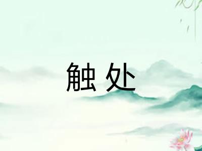 触处 触处