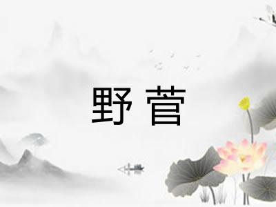 野菅