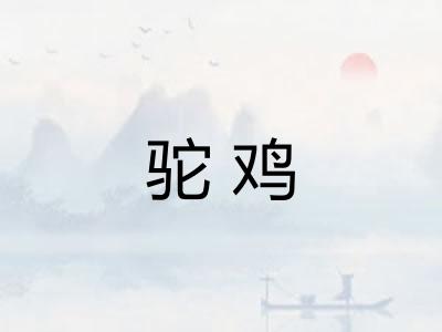 驼鸡