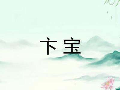卞宝