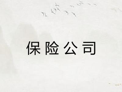 保险公司