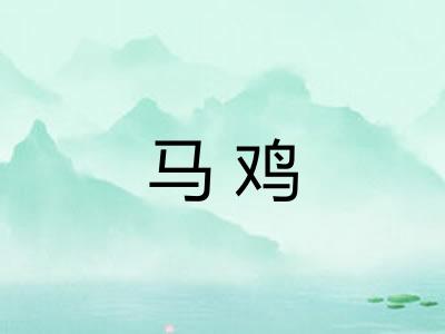 马鸡