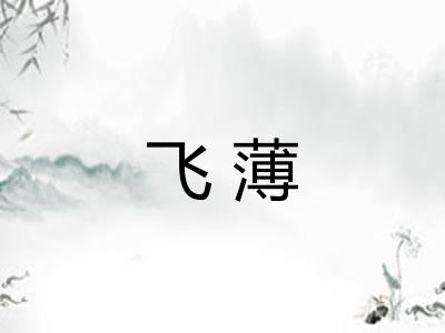 飞薄