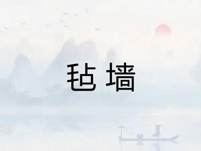 毡墙
