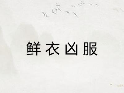 鲜衣凶服 鲜衣凶服