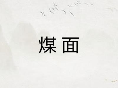 煤面