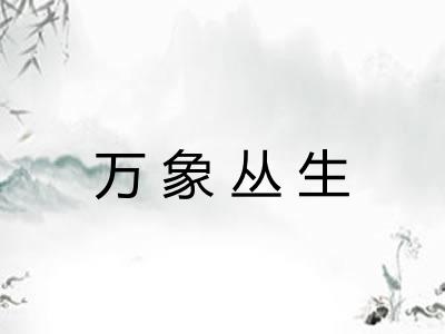 万象丛生