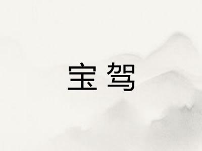 宝驾 宝驾