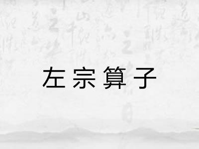 左宗算子