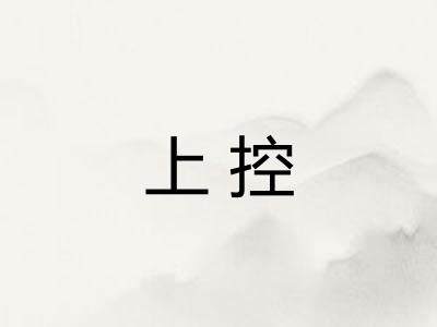 上控