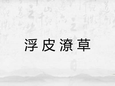 浮皮潦草