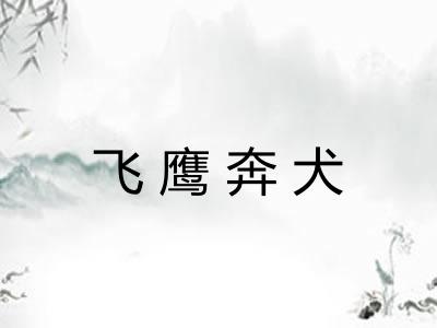飞鹰奔犬