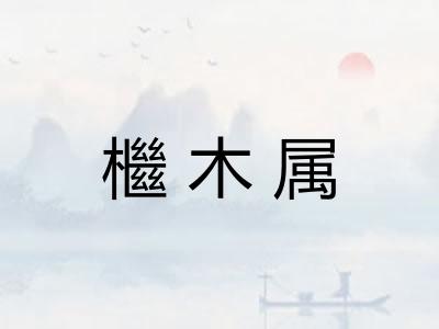 檵木属