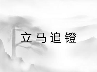 立马追镫