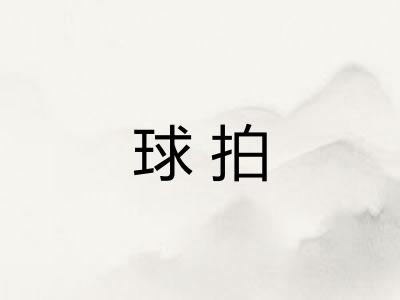 球拍