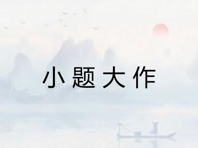 小题大作