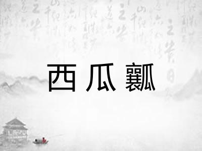 西瓜瓤