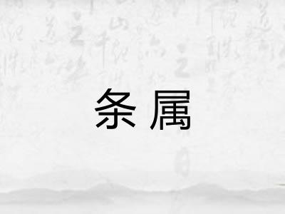 条属