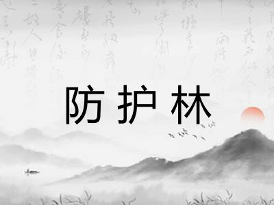 防护林