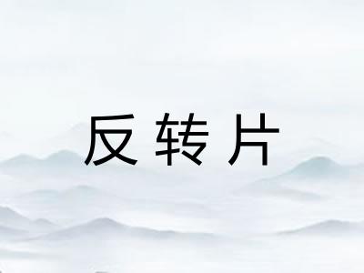 反转片