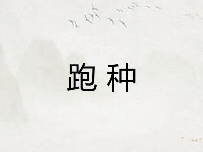 跑种 跑种