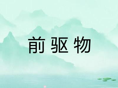 前驱物