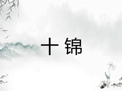 十锦