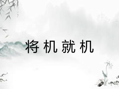 将机就机 将机就机