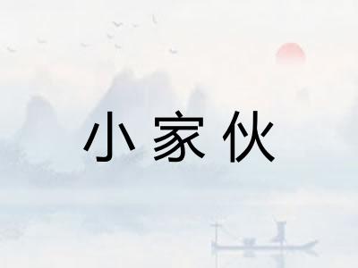 小家伙