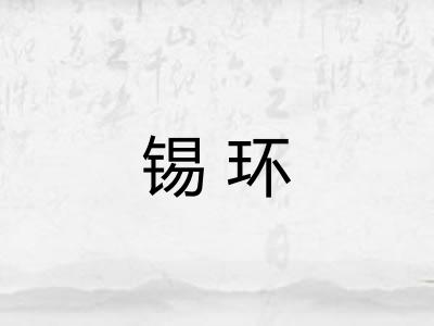 锡环
