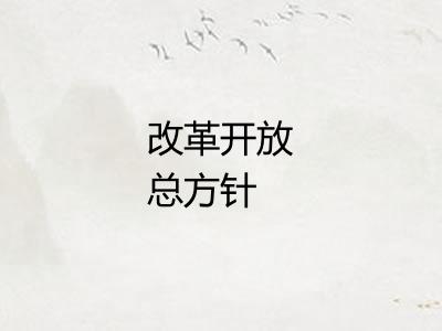 改革开放总方针