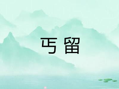 丐留