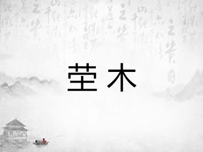 茔木