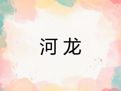 河龙