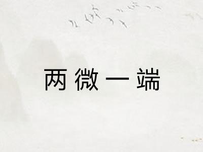 两微一端