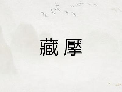 藏擪