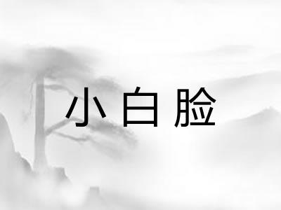 小白脸