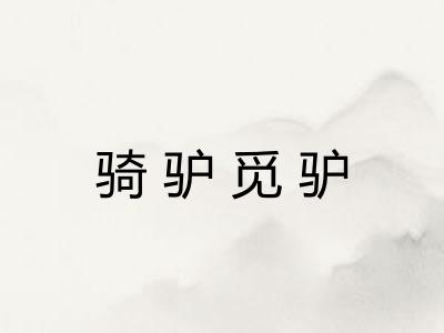 骑驴觅驴 骑驴觅驴