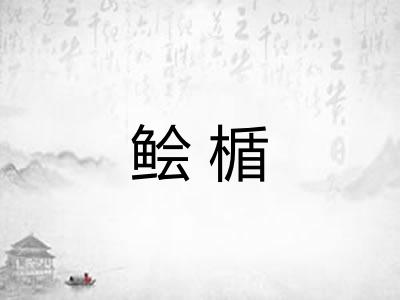 鲙楯