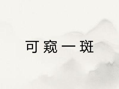 可窥一斑