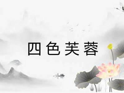 四色芙蓉 四色芙蓉