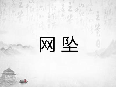 网坠
