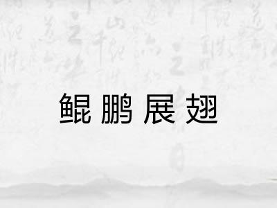 鲲鹏展翅