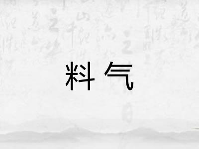 料气 料气