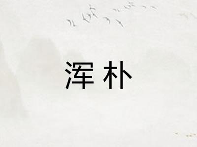 浑朴