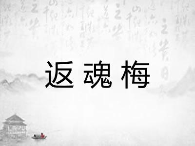 返魂梅