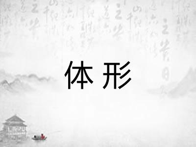 体形