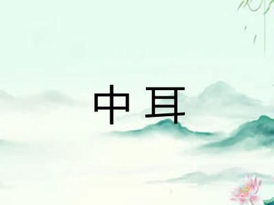 中耳