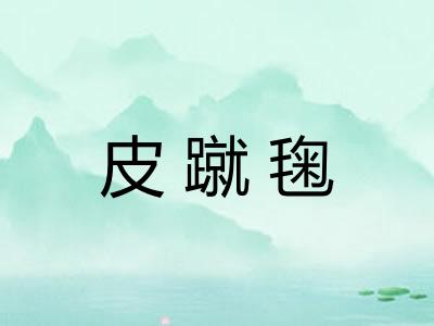 皮蹴毱