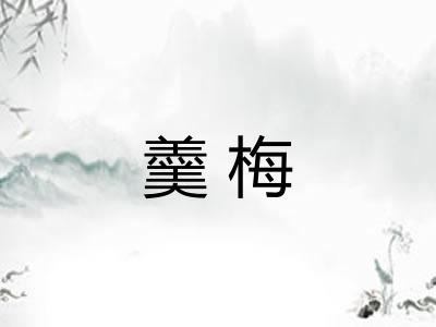 羹梅